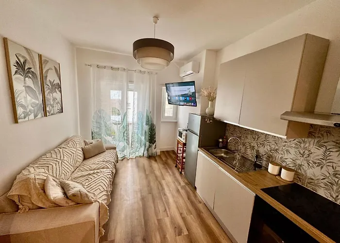 招待所 Domus Antea